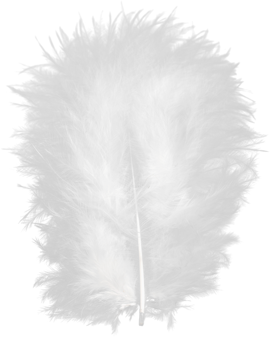 White Feather, Isolated